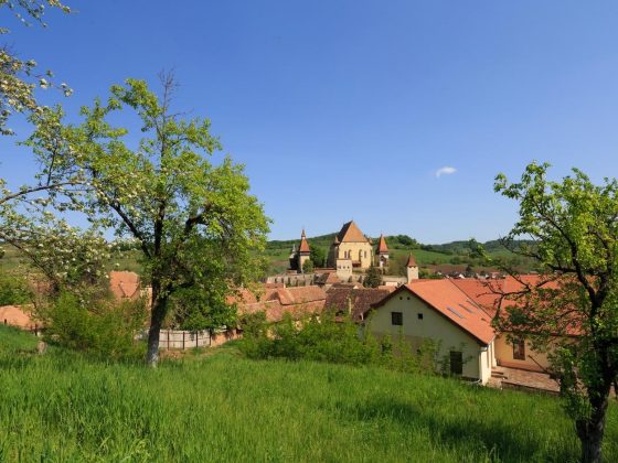 Complex Medieval Unglerus